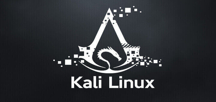 Kali Linux Installation Guide