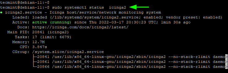 Check Icinga Status