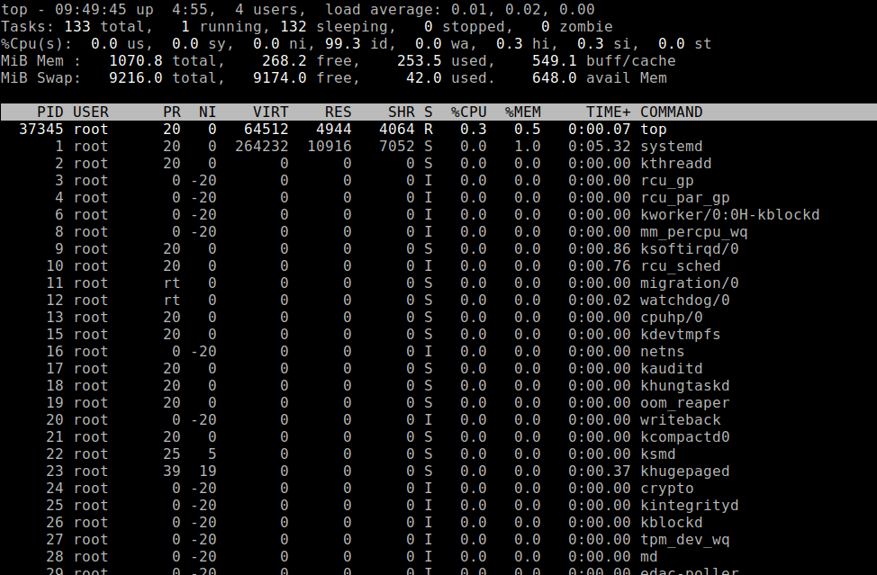 Check Linux Running Processes