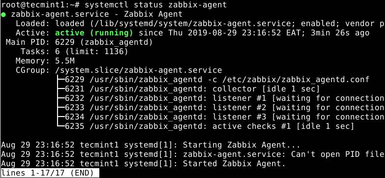 Check Zabbix Agent Status