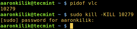 Find and Kill Process in Linux