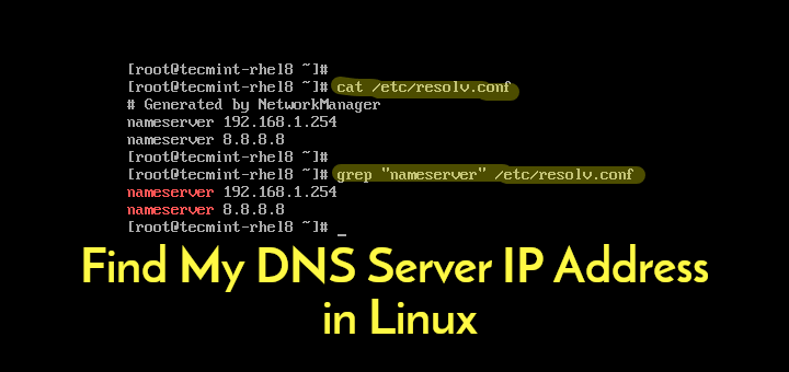 Find DNS Server IP Address in Linux
