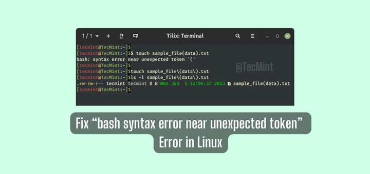 Fix “bash syntax error near unexpected token” Error