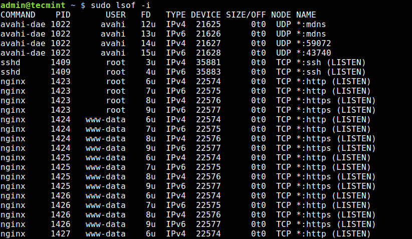 List Open Network Files Using lsof Command