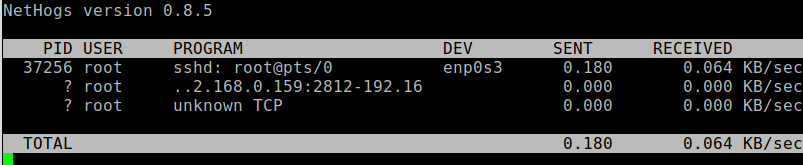 Nethogs Monitor Network Traffic in Linux