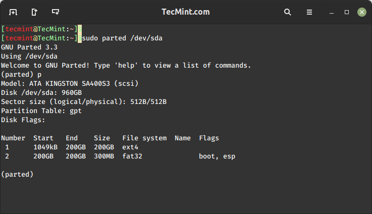 Parted - Print Disk Partition Table