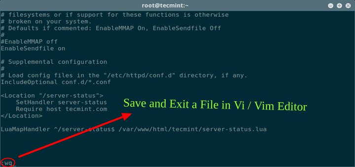 Save a File in Vi / Vim Editor in Linux