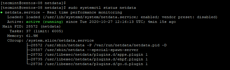 Verify Netdata Status